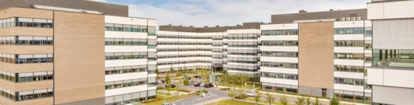 Business Garden