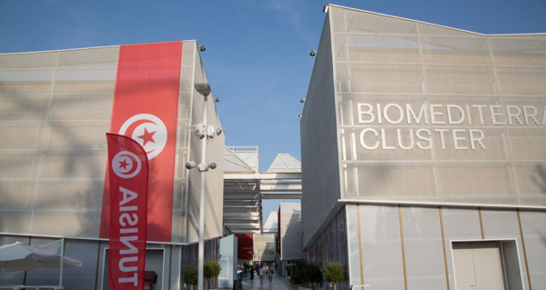 Bio Mediterranean Cluster Pavilion, , Expo 2015